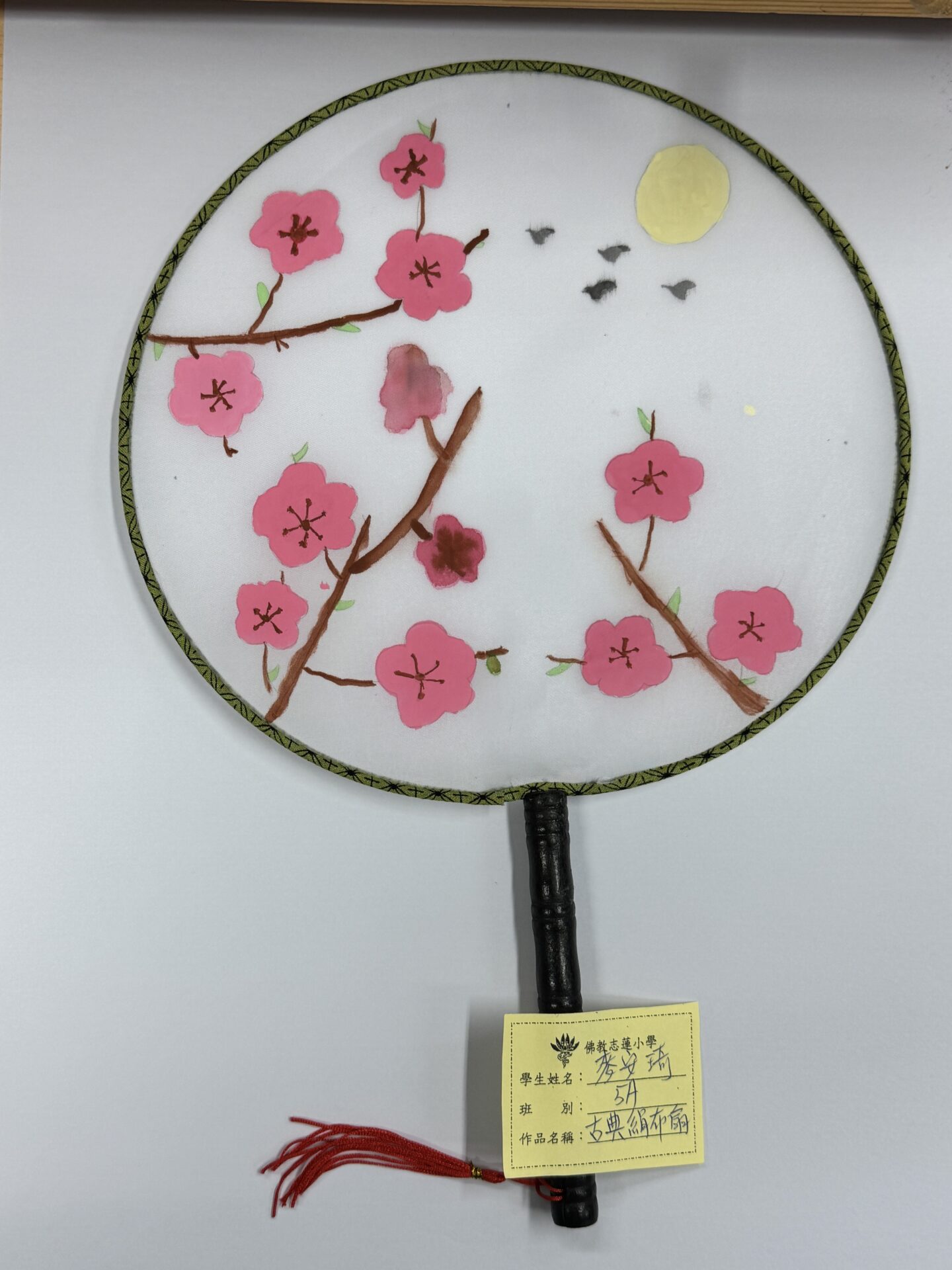 5A 麥安琦